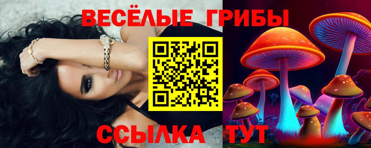 Галлюциногенные грибы мицелий  Вход с VPN  где продают наркотики  Галлюциногенные грибы Psilocybe  Челябинск 